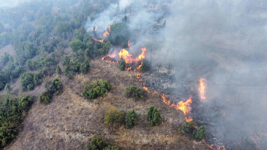 Bilecik'te orman yangını! Havadan ve karadan müdahale ediliyor - Resim: 8